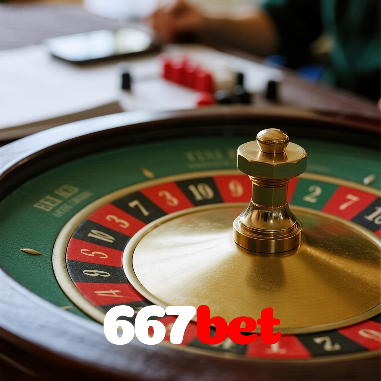Problemas de Login no 667bet