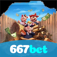 Problemas de Login no 667bet